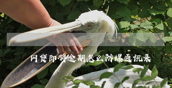 网贷即将逾期怎么防爆通讯录 网贷即将逾期怎么防爆通讯录