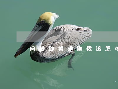 网贷即将逾期我该怎么办啊