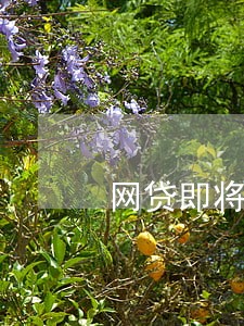 网贷即将逾期辞职有用吗 网贷即将逾期辞职有用吗