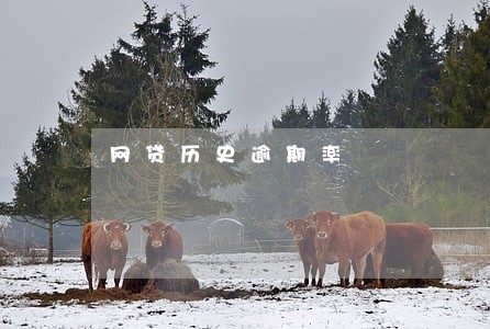网贷历史逾期率 网贷历史逾期率