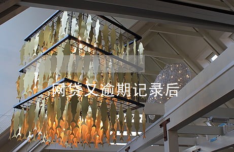 网贷又逾期记录后