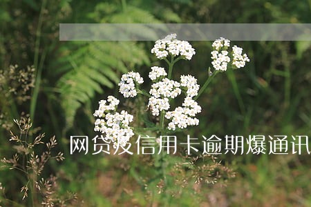网贷及信用卡逾期爆通讯录 网贷及信用卡逾期爆通讯录
