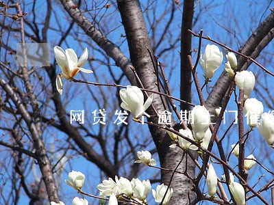 网贷发个逾期上门催缴通知 网贷发个逾期上门催缴通知