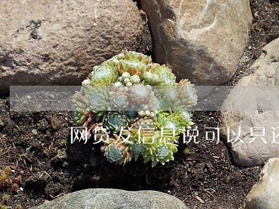 网贷发信息说可以只还本金 网贷发信息说可以只还本金