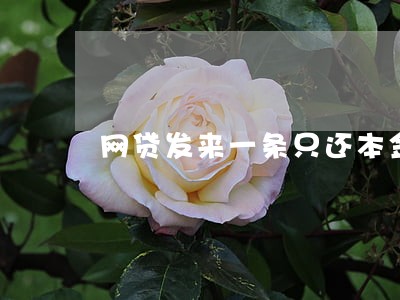 网贷发来一条只还本金 网贷发来一条只还本金