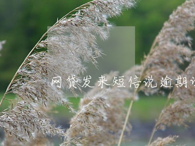 网贷发来短信说逾期调查 网贷发来短信说逾期调查