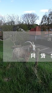网贷发的电子律师函真假 网贷发的电子律师函真假