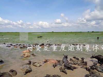 网贷发重度逾期集体诉讼名单 网贷发重度逾期集体诉讼名单