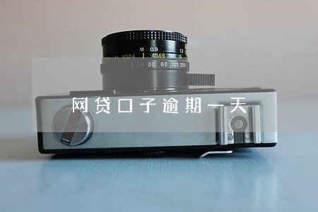 网贷口子逾期一天 网贷口子逾期一天