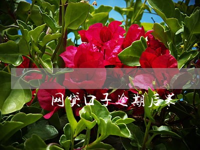 网贷口子逾期后果 网贷口子逾期后果