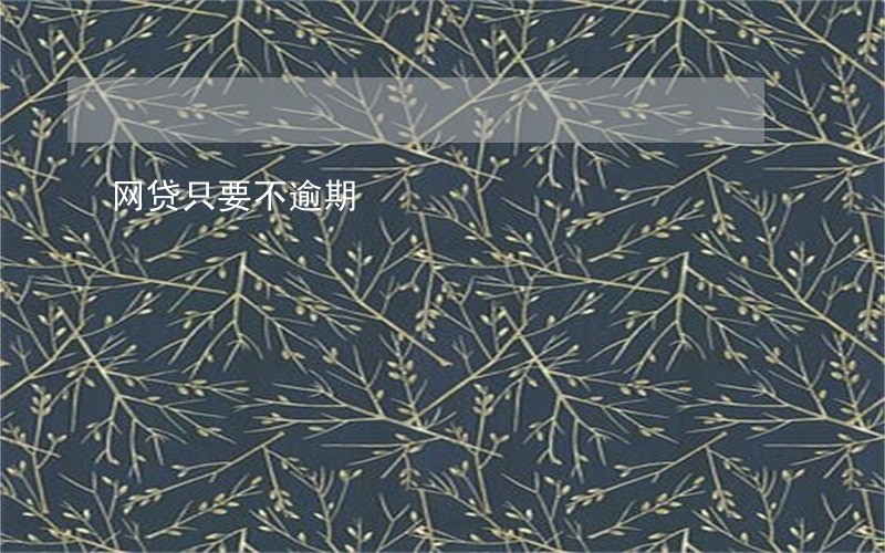 网贷只要不逾期 网贷只要不逾期