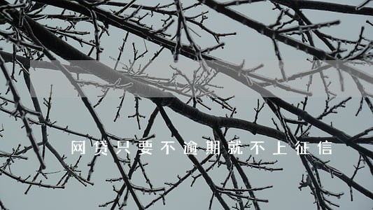 网贷只要不逾期就不上征信 网贷只要不逾期就不上征信