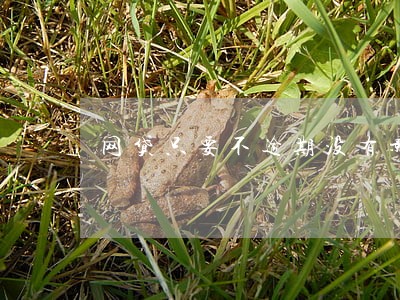 网贷只要不逾期没有影响吧 网贷只要不逾期没有影响吧
