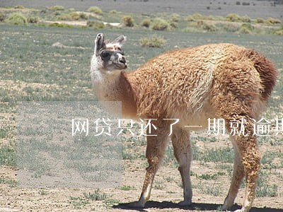 网贷只还了一期就逾期了 网贷只还了一期就逾期了
