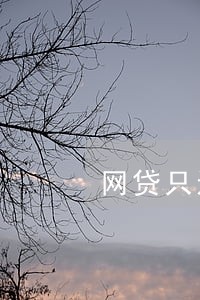 网贷只还本金也行 网贷只还本金也行