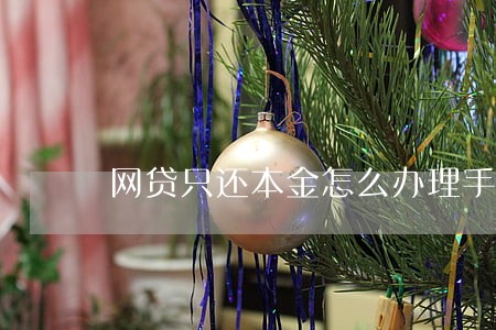 网贷只还本金怎么办理手续 网贷只还本金怎么办理手续