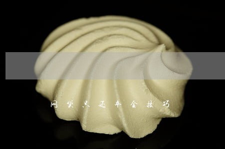 网贷只还本金技巧 网贷只还本金技巧