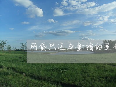 网贷只还本金指的是什么 网贷只还本金指的是什么