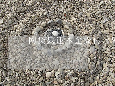 网贷只还本金支付宝处理 网贷只还本金支付宝处理