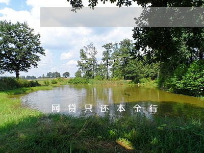 网贷只还本金行