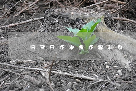 网贷只还本金还要利息 网贷只还本金还要利息
