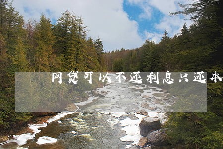 网贷可以不还利息只还本金么 网贷可以不还利息只还本金么