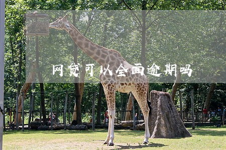 网贷可以全面逾期吗 网贷可以全面逾期吗