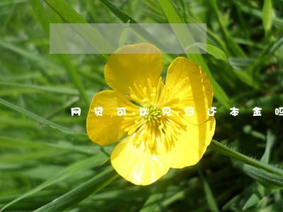 网贷可以只归还本金吗 网贷可以只归还本金吗