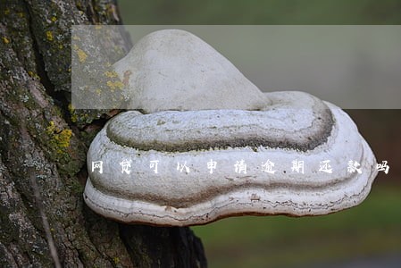 网贷可以申请逾期还款吗 网贷可以申请逾期还款吗