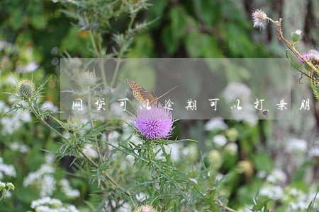 网贷可以逾期可以打亲朋好友电话 网贷可以逾期可以打亲朋好友电话