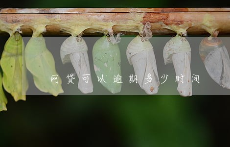 网贷可以逾期多少时间 网贷可以逾期多少时间