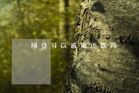 网贷可以逾期还款吗 网贷可以逾期还款吗