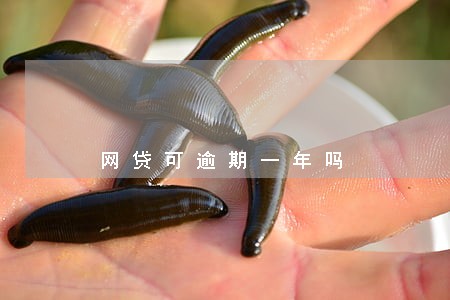 网贷可逾期一年吗 网贷可逾期一年吗