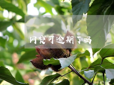 网贷可逾期了吗 网贷可逾期了吗