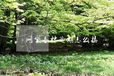 网贷各种逾期怎么搞 网贷各种逾期怎么搞