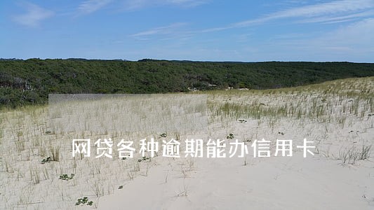 网贷各种逾期能办信用卡 网贷各种逾期能办信用卡