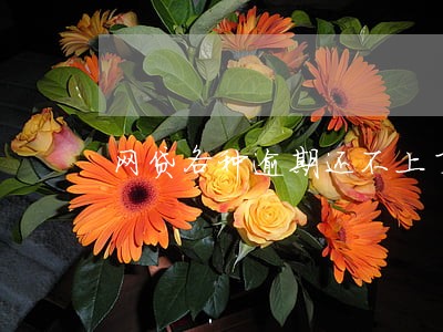 网贷各种逾期还不上了怎么办 网贷各种逾期还不上了怎么办