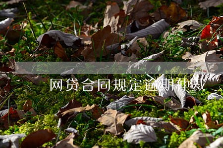 网贷合同规定逾期仲裁 网贷合同规定逾期仲裁