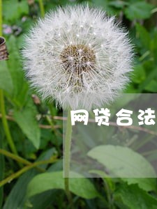 网贷合法逾期时间 网贷合法逾期时间
