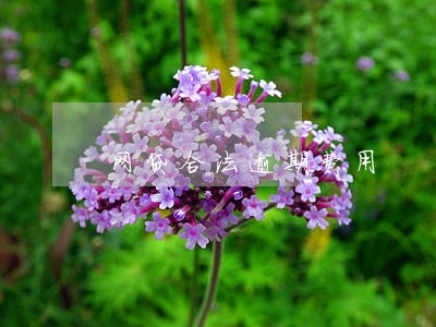 网贷合法逾期费用 网贷合法逾期费用