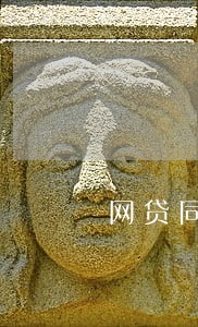 网贷同意只还本金怎么还 网贷同意只还本金怎么还