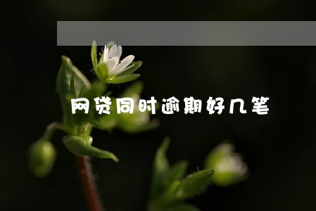 网贷同时逾期好几笔 网贷同时逾期好几笔