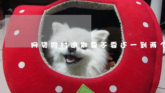 网贷同时逾期要不要还一到两个 网贷同时逾期要不要还一到两个