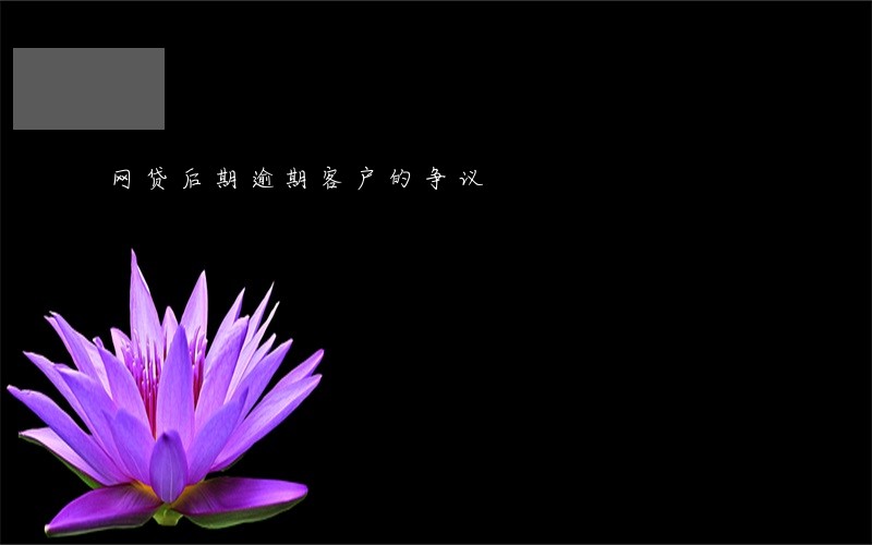 网贷后期逾期客户的争议 网贷后期逾期客户的争议