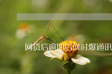 网贷后逾期后何时爆通讯录 网贷后逾期后何时爆通讯录