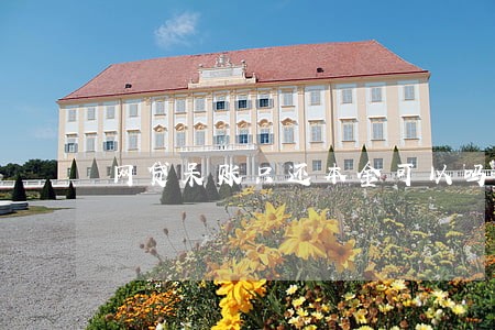 网贷呆账只还本金可以吗 网贷呆账只还本金可以吗