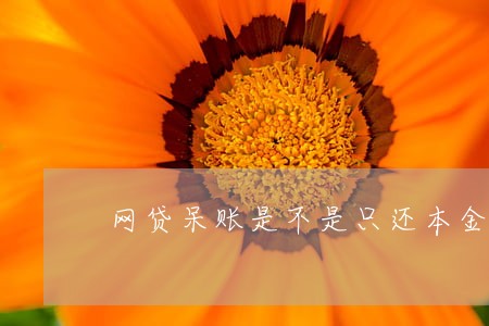 网贷呆账是不是只还本金 网贷呆账是不是只还本金