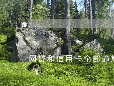 网贷和信用卡全部逾期怎么办 网贷和信用卡全部逾期怎么办