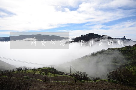 网贷和信用卡准备逾期 网贷和信用卡准备逾期