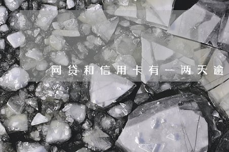 网贷和信用卡有一两天逾期